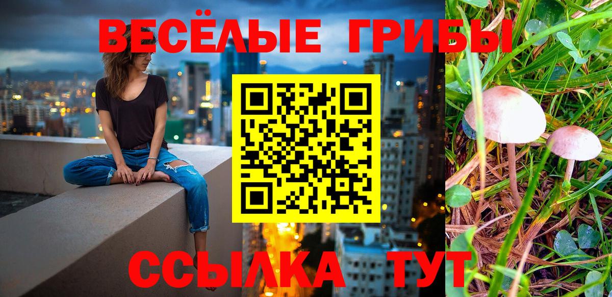 Долгопрудный  Галлюциногенные грибы Magic Shrooms  Вход с VPN  Галлюциногенные грибы прущие грибы 
